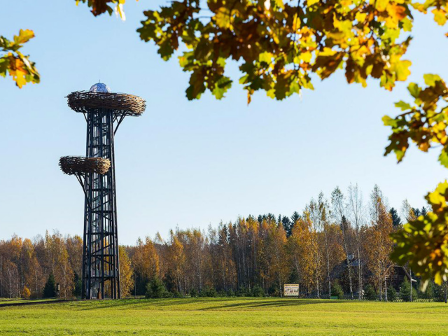 Rõuge watchtower “Pesapuu”, Estonia